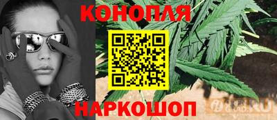 гидра Кандалакша
