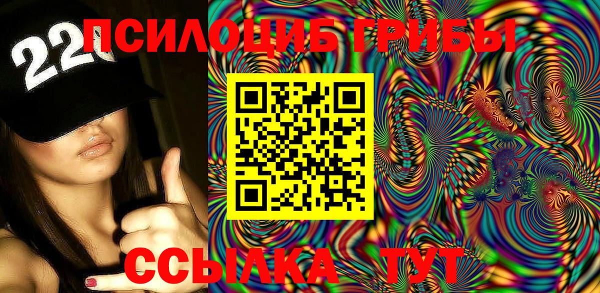 Галлюциногенные грибы Psilocybine cubensis Кстово