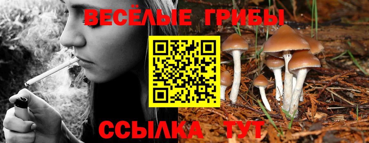 Кстово  Псилоцибиновые грибы прущие грибы  Вход с VPN 